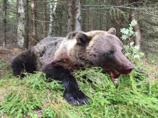 Hanbjörn 104kg.